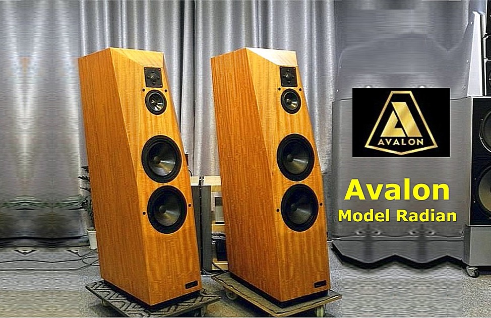 Avalon Acoustics Radian Floorstanding Speakers Handcrafted In USA ( PL )