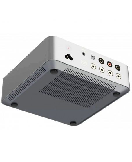 WiiM Vibelink Amp+ Dali Kupid Hi-Fi System Package