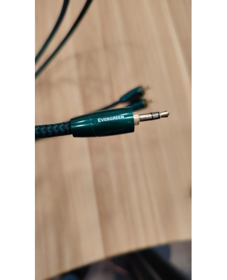 Audioquest Evergreen 3.5mm to RCA Interconnects Cable 1.5Meter (PL)