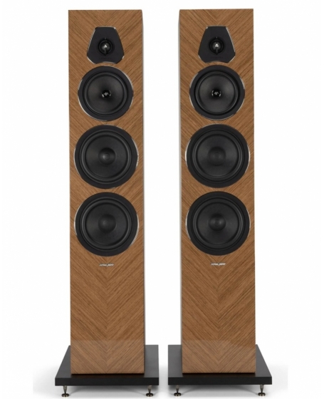 Sonus Faber Lumina V Amator Floorstanding Speaker Made Italy