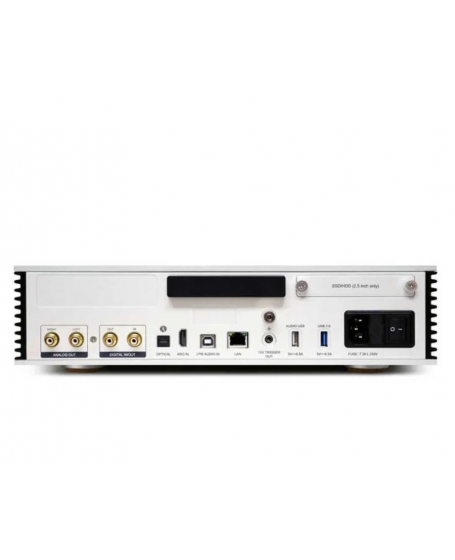 Aurender A1000 High-performance Analog Player FREE AudioQuest Red River RCA Interconnect Cable 1m