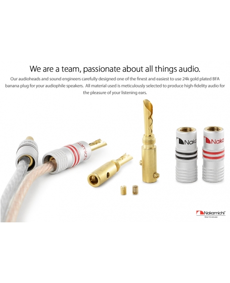 Nakamichi Excel Series 24k Gold Plated BFA Banana Plug (4 Pcs)