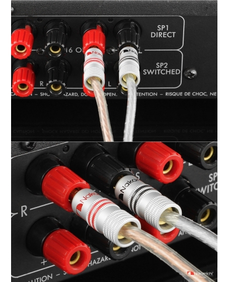 Nakamichi Excel Series 24k Gold Plated BFA Banana Plug (4 Pcs)