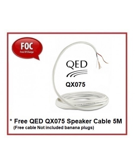 Eversolo Play + EverSolo SE-100 Bookshelf Speakers Hi-Fi System Package