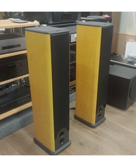 AAD C-500 Floorstanding Speakers (PL)