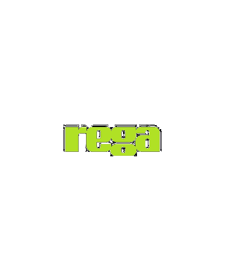 The History of Rega