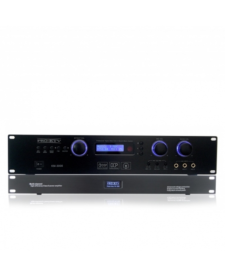 Pro Ktv PP-3000 Pre & Power Amplifier