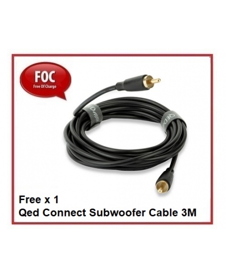 Earthquake FF12 Subwoofer