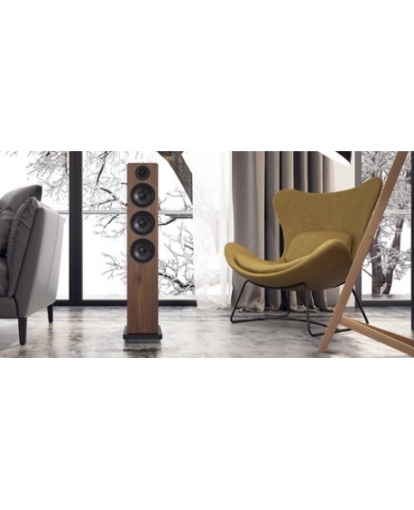 Acoustic Energy AE120 Floorstanding Speakers