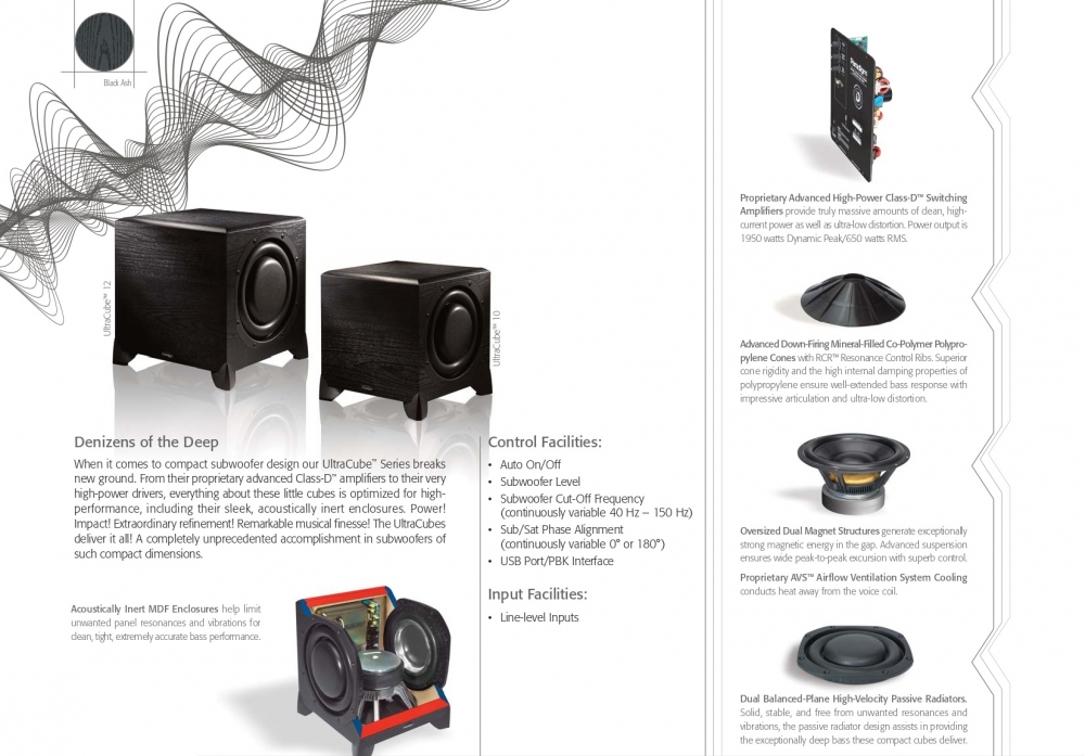 paradigm ultracube 10