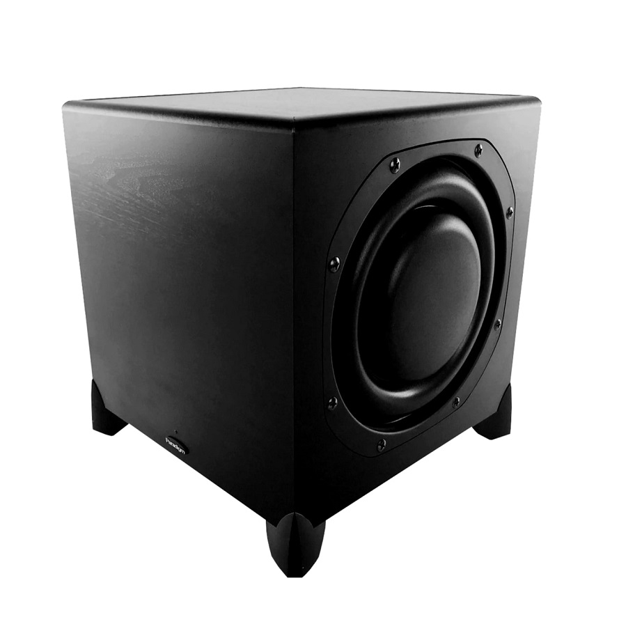 paradigm ultracube 10