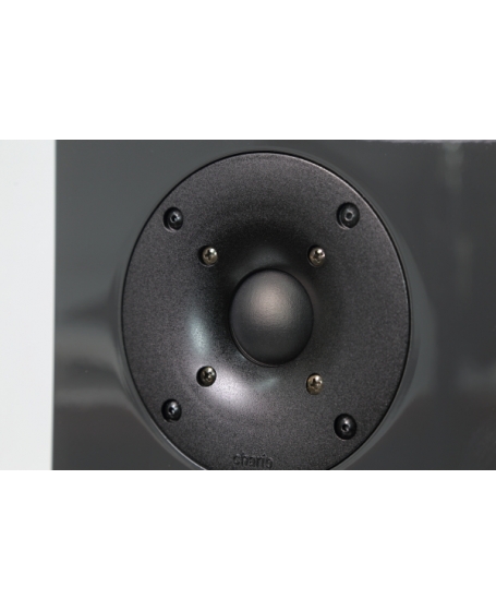 Chario Studio 1016T Floorstanding Speakers Made In Italy ( DU ) - Grey