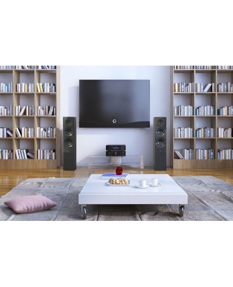 Chario Studio 1016T Floorstanding Speakers Made In Italy ( DU ) - Grey