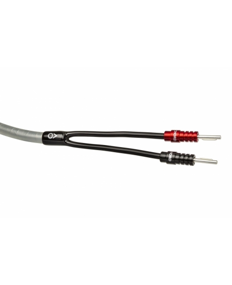 Chord ClearwayX Speaker Cable 5M (2.5m x 2)  With Ohmic Banana