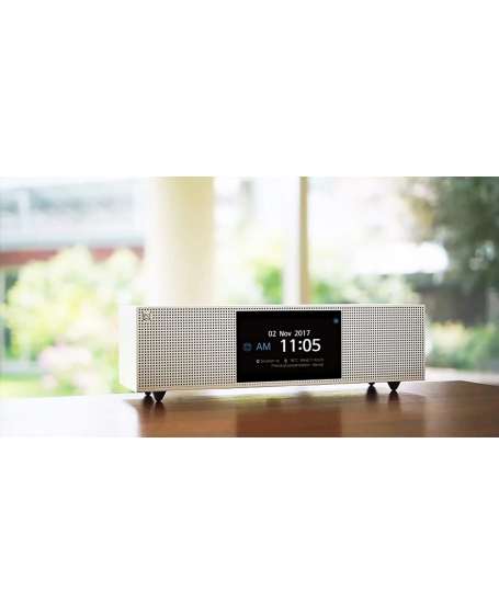 Hifi ROSE RS301 All-In-One HiFi Media Player Made In Korea