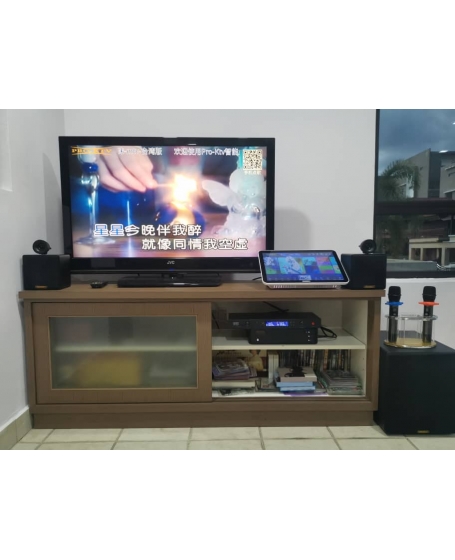 Pro Ktv SK210MK2 全能音响