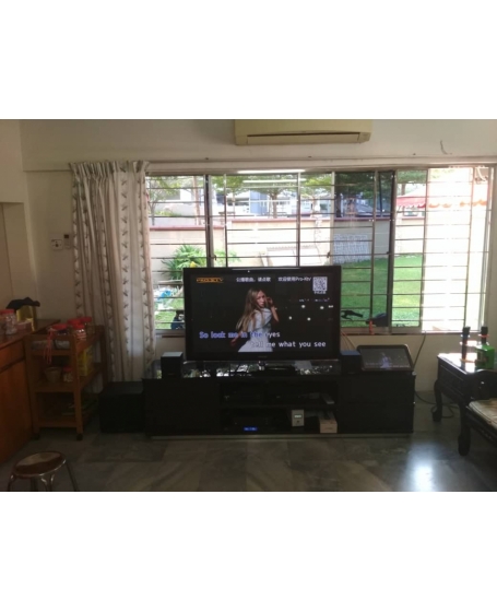 Pro Ktv SK210MK2 全能音响