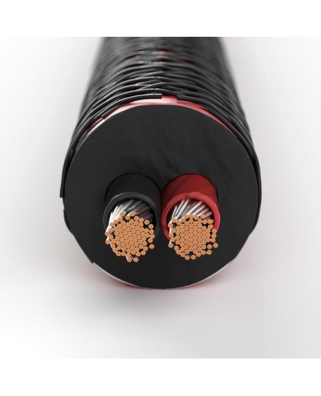 Dali Connect SC RM230ST Speaker Cables 3 Meter Pair (Terminated) Made in Denmark
