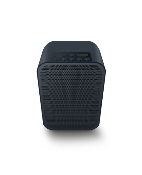 Bluesound Pulse Flex 2i Portable Wireless Multi-Room Music Streaming Speaker