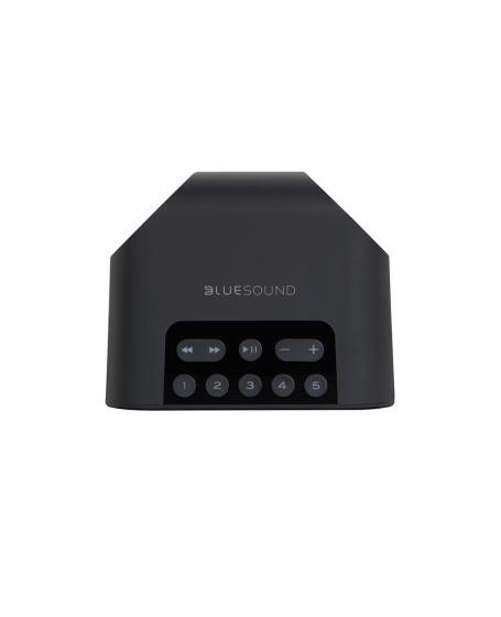 Bluesound Pulse Flex 2i Portable Wireless Multi-Room Music Streaming Speaker