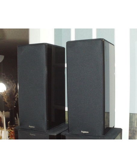 Angstrom Model 303 Floorstanding Speaker Made In Canada ( PL )