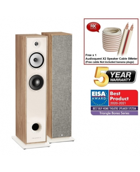 Triangle Borea BR07 Floorstanding Speaker