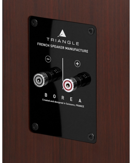 Triangle Borea BR07 Floorstanding Speaker