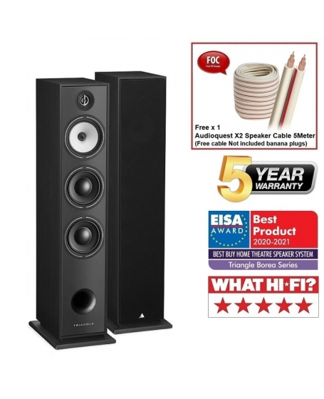 Triangle Borea BR08 Floorstanding Speaker