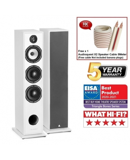 Triangle Borea BR08 Floorstanding Speaker