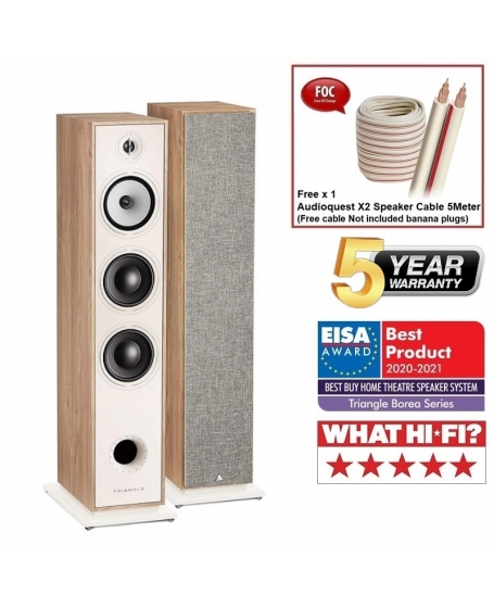 Triangle Borea BR08 Floorstanding Speaker