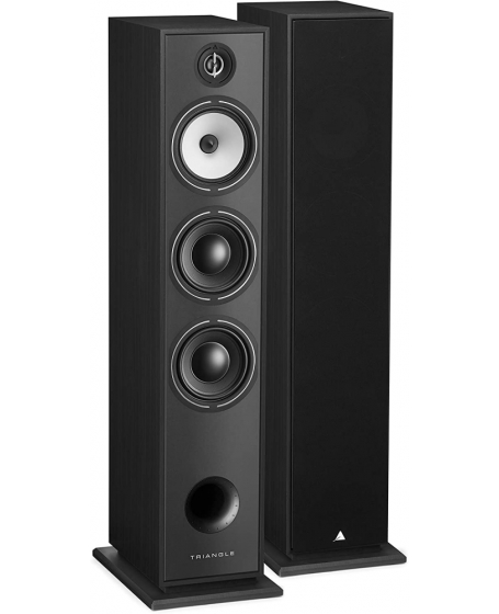 Triangle Borea BR08 Floorstanding Speaker