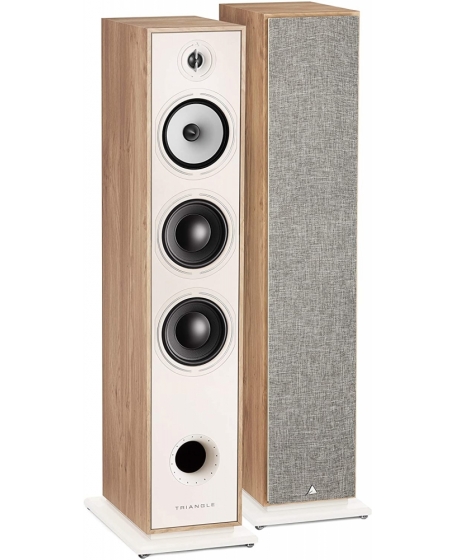 Triangle Borea BR08 Floorstanding Speaker