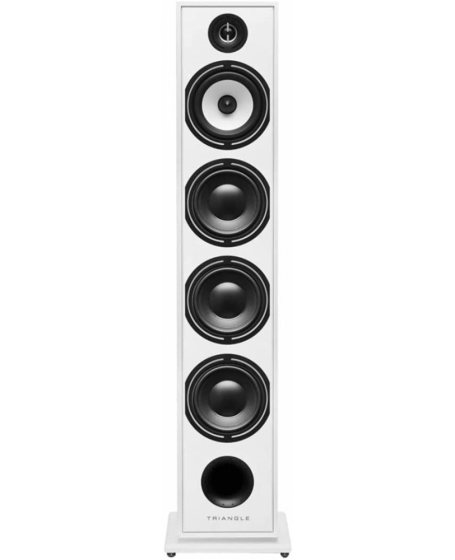 Triangle Borea BR09 Floorstanding Speaker