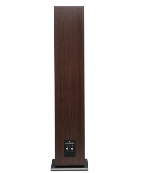 Triangle Borea BR09 Floorstanding Speaker