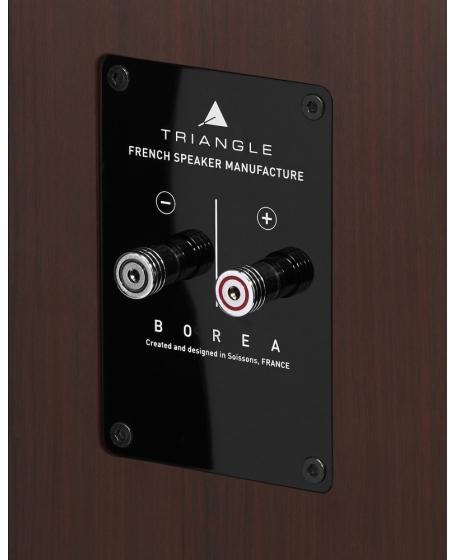 Triangle Borea BR09 Floorstanding Speaker