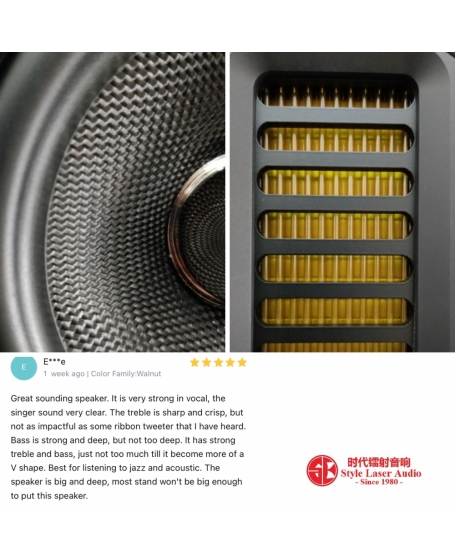 Hifi ROSE RS201E + Wharfedale EVO 4.2 Hi-Fi System Package