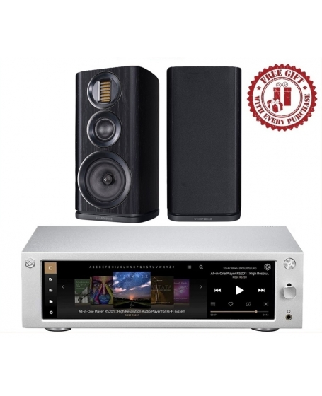 Hifi ROSE RS201E + Wharfedale EVO 4.2 Hi-Fi System Package
