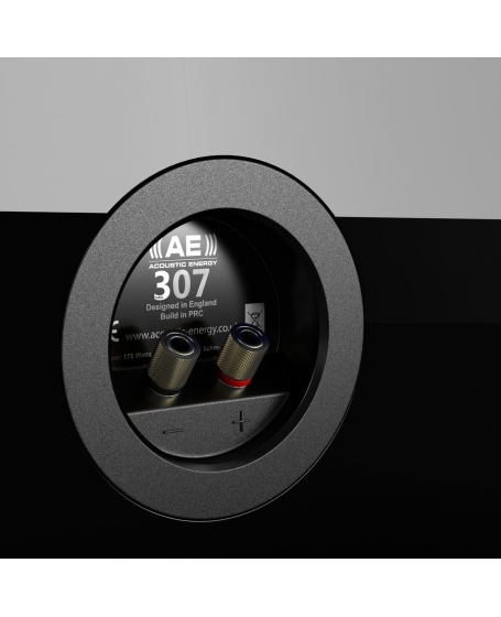 Acoustic energy hot sale ae307