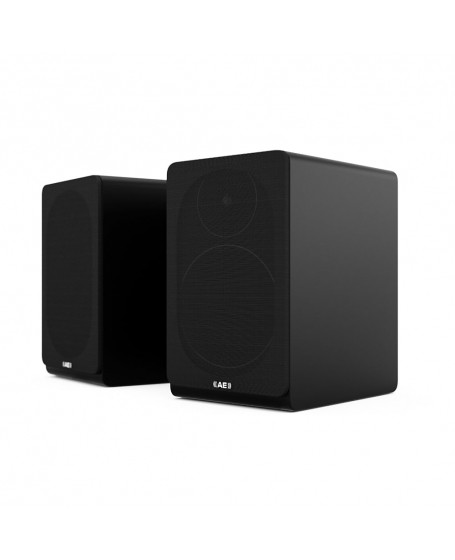 Acoustic Energy AE100 Bookshelf Speakers