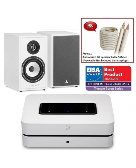 Bluesound Powernode N330 + Triangle Borea BR02 Hi-Fi System Package