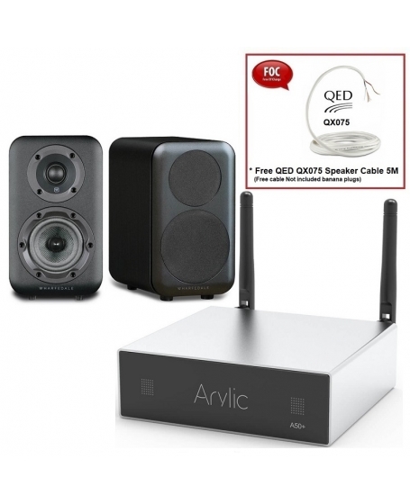 Arylic A50+ + Wharfedale D310 Hi-Fi System Package