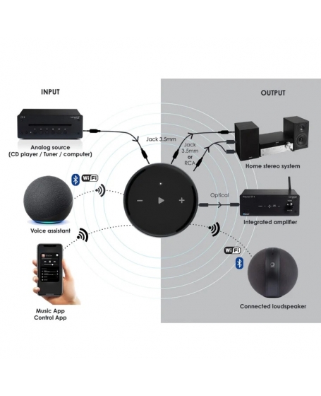 Elipson WM Multiroom Network Player