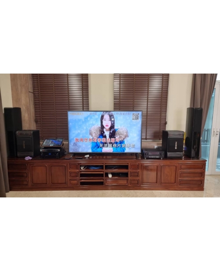 Pro Ktv KA300 Karaoke Amplifier