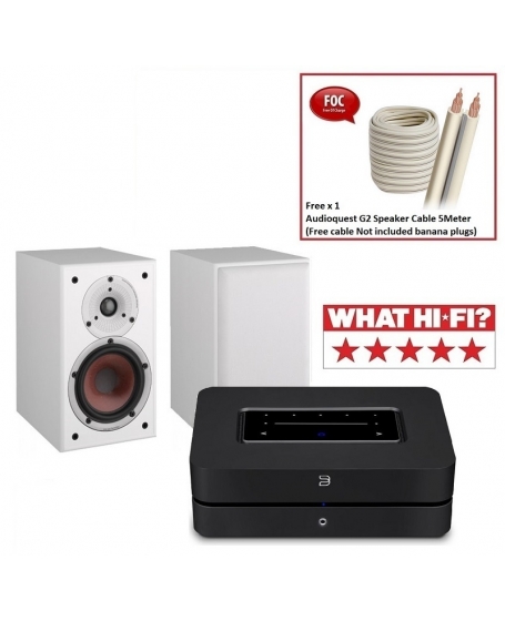 Bluesound Powernode N330 + Dali Spektor 2 Hi-Fi System Package