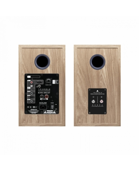 Triangle Borea Active BR02 BT Bookshelf Speakers