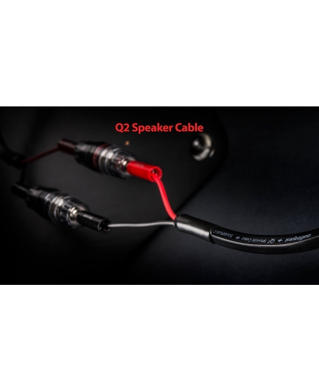 Audioquest Q2 Speaker Cable 3m x 2 With Banana Plugs