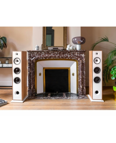 Triangle Borea BR08 Floorstanding Speaker (DU)