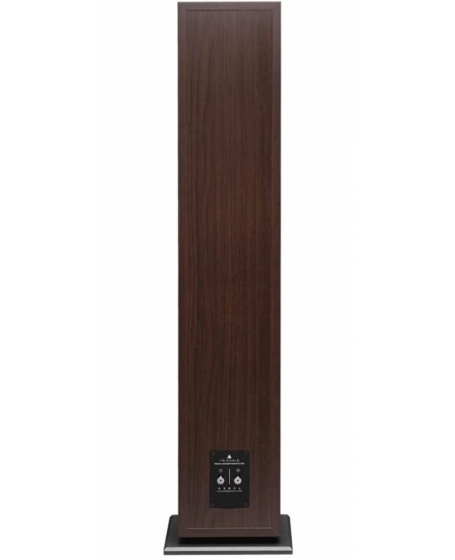 Triangle Borea BR09 Floorstanding Speaker (DU)