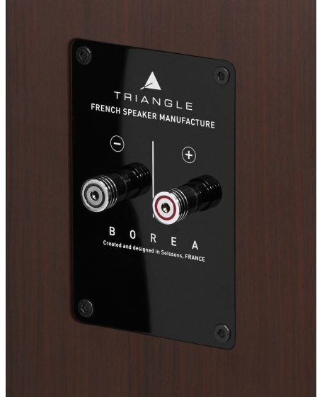 Triangle Borea BR09 Floorstanding Speaker (DU)