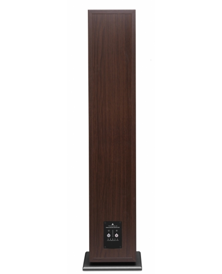 Triangle Borea BR09 Floorstanding Speaker (DU)